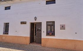 Zarzo del Tragaluz